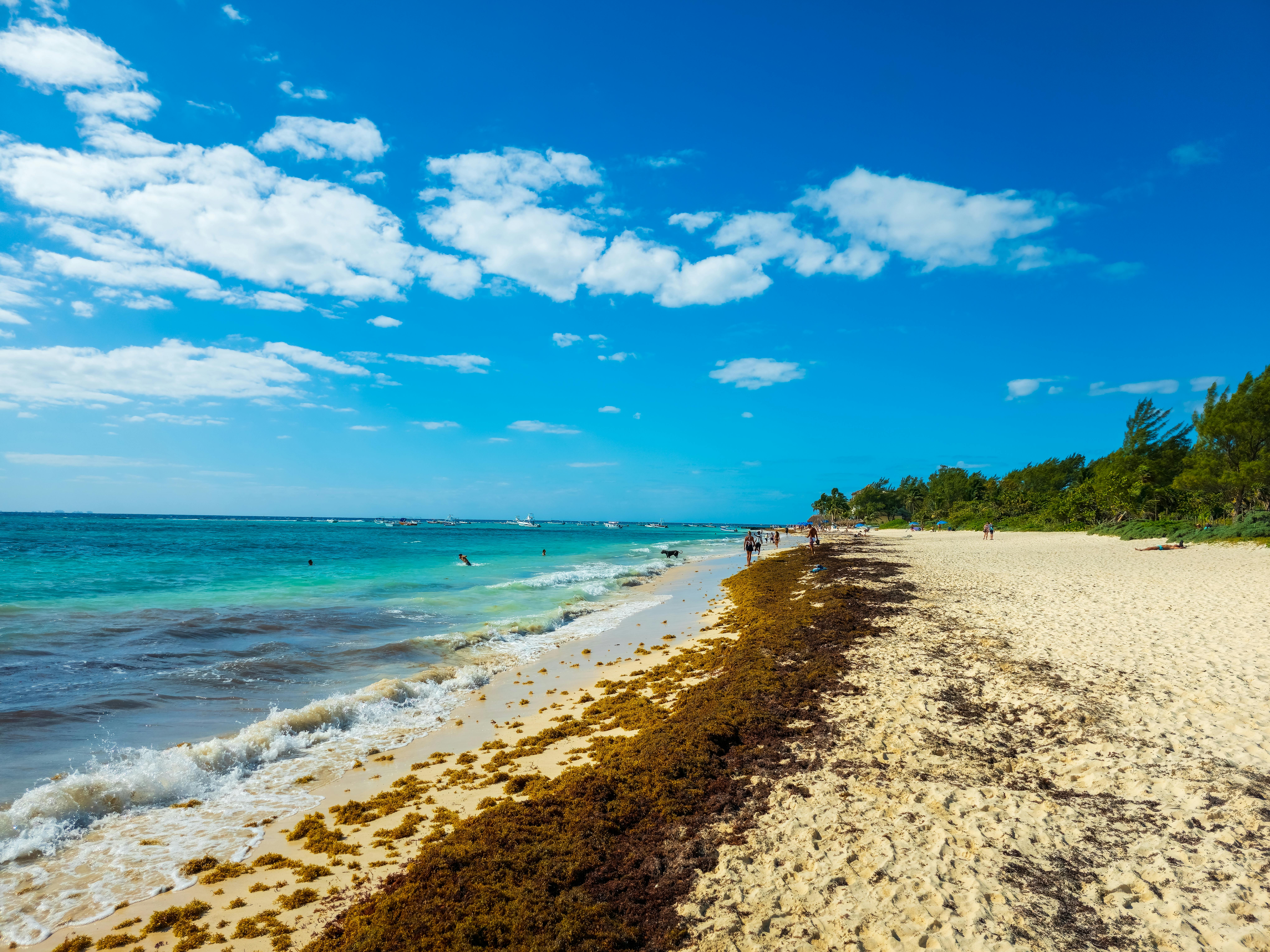 Vista paradisíaca da Praia das Toninhas
